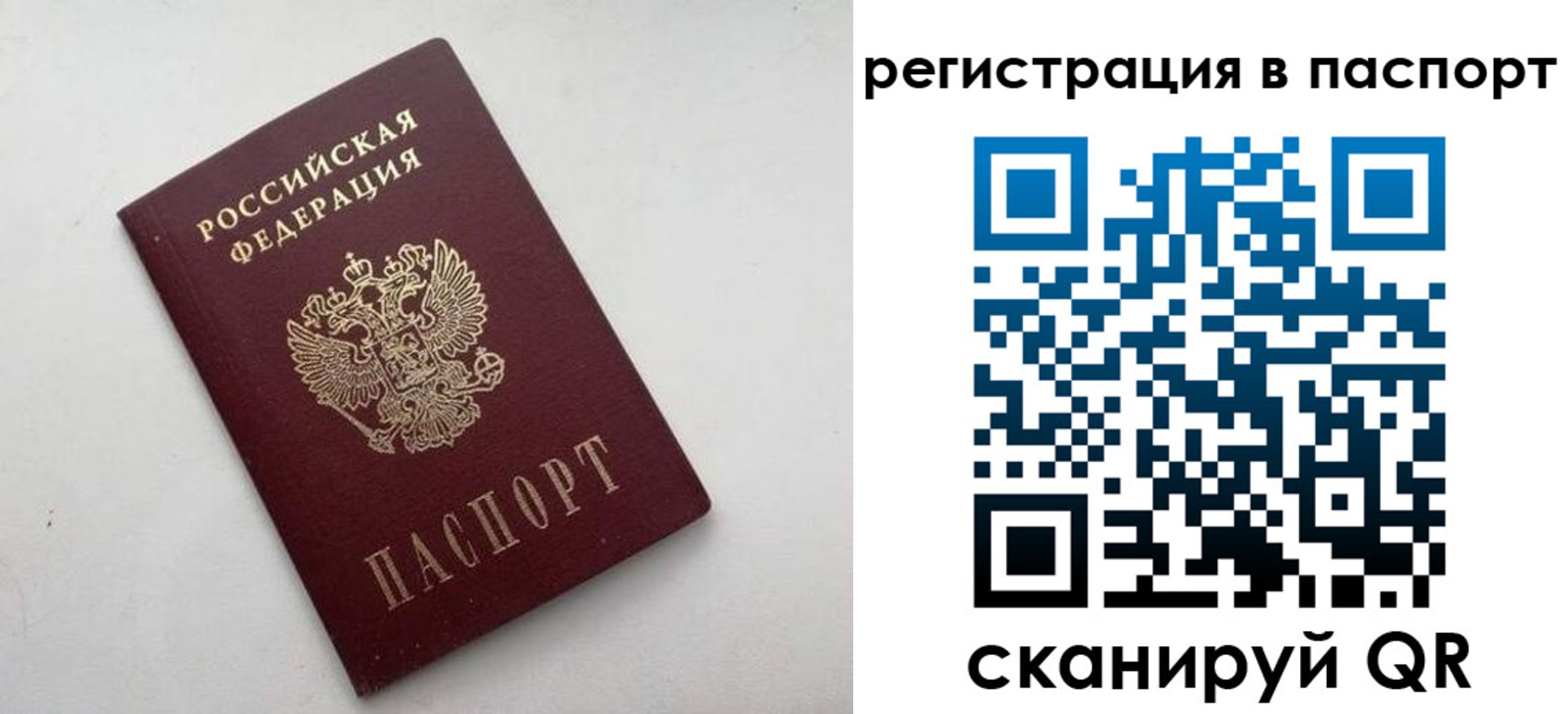 прописка поиск в Коркино